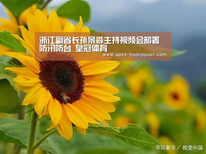 皇冠体育下载