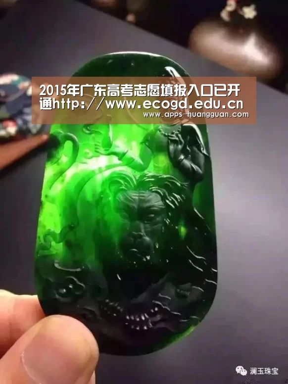 2015年广东高考志愿填报入口已开通http://www.ecogd.edu.cn/kszy/login.jsp‘皇冠体育app’(图4) 皇冠体育下载