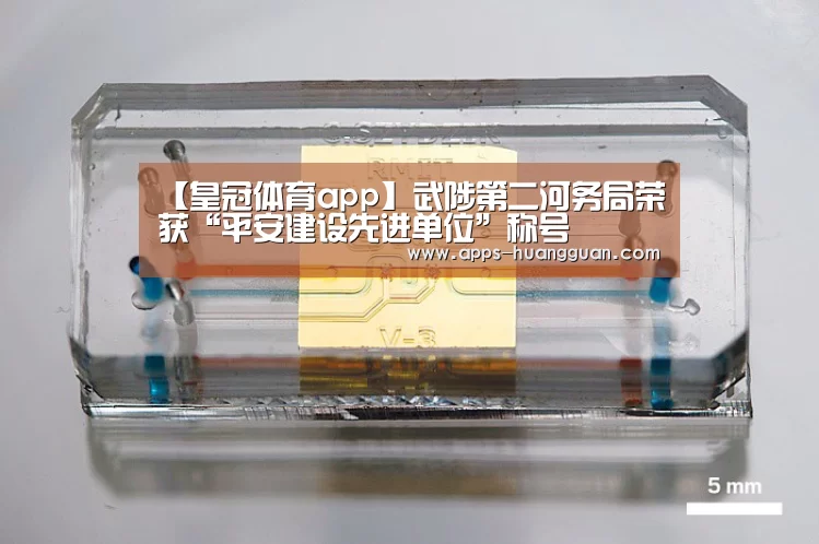 皇冠体育官网