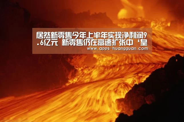 居然新零售今年上半年实现净利润9.6亿元 新零售仍在高速扩张中‘皇冠体育下载’(图1) 皇冠体育官网
