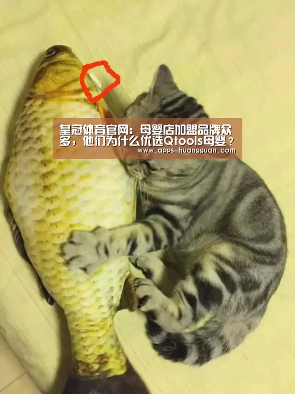 皇冠体育官网