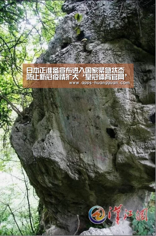 皇冠体育app